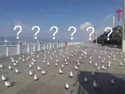 LV没人买了 加拿大龙虾没人吃了 中国人再不出门 全世界都要撑不住了!