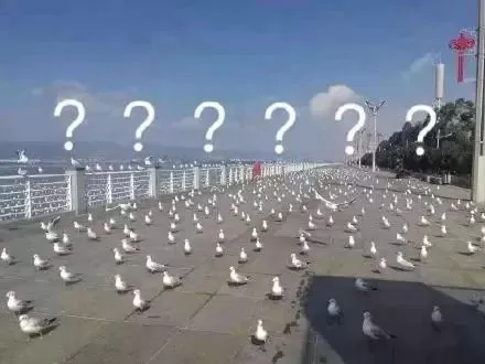 LV没人买了 加拿大龙虾没人吃了 中国人再不出门 全世界都要撑不住了!