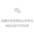 突发! 世卫宣布全球大流行! 加拿大感染破百  公司学校争相关闭 特鲁多也危险了?