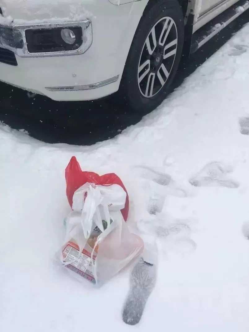 暖心! 疫情下 从没说过话的华人邻居给我送来一个包裹 打开后我哭了...