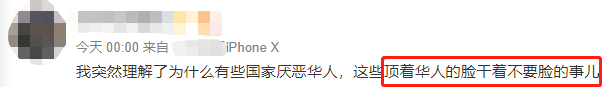 疫情之下 海外华人突遭中国网友痛骂 真相令人寒心!