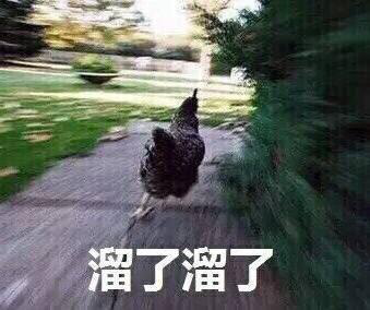 惊了! 超市鸡蛋售罄 英国人开始疯狂抢购母鸡 每人限购3只...