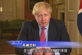 惊了! 超市鸡蛋售罄 英国人开始疯狂抢购母鸡 每人限购3只...