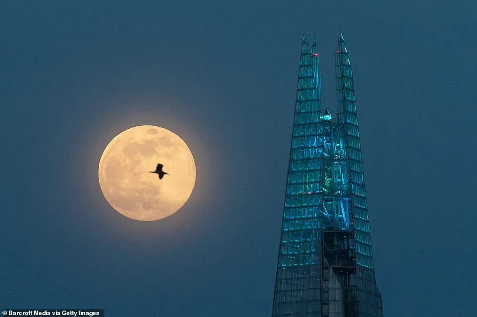 震撼! 疫情之下 一轮超级粉月美炸全球! 温哥华宅家避疫的人都美哭了!