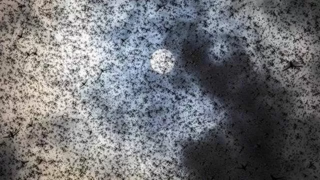 切尔诺贝利爆发大火，埃博拉病毒重现，2020年厄运在继续