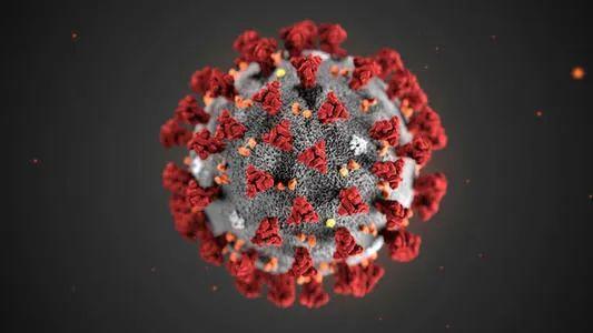 新冠病毒能在纸板、不锈钢表面存活多久？科学家实测