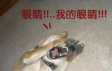 5个嫁给杀人恶魔的女人，天天跟恶魔同共枕竟一无所知！