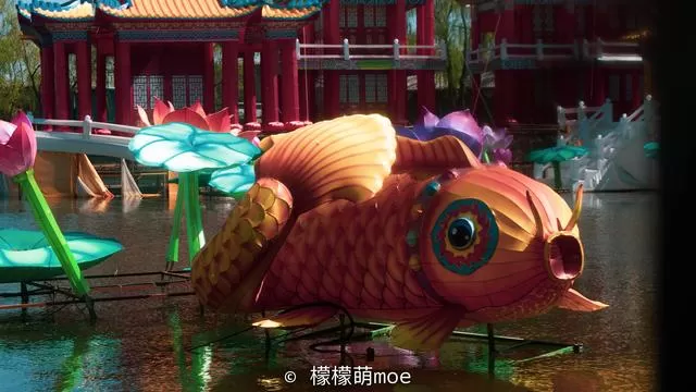 北京打车记：司机家有四套房，讲了一路人生道理，言论犀利