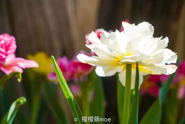 北京打车记：司机家有四套房，讲了一路人生道理，言论犀利
