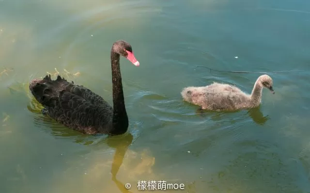 北京打车记：司机家有四套房，讲了一路人生道理，言论犀利