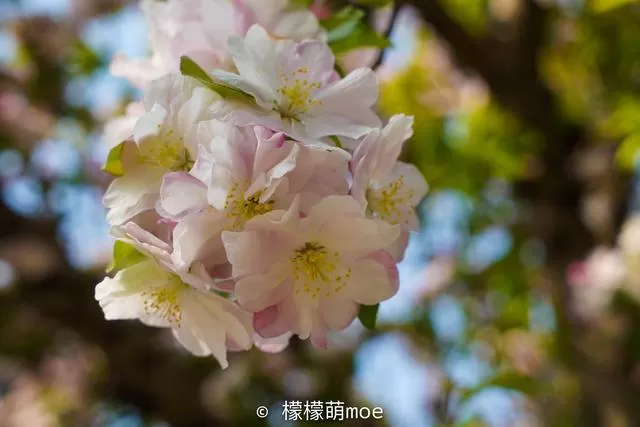 北京打车记：司机家有四套房，讲了一路人生道理，言论犀利