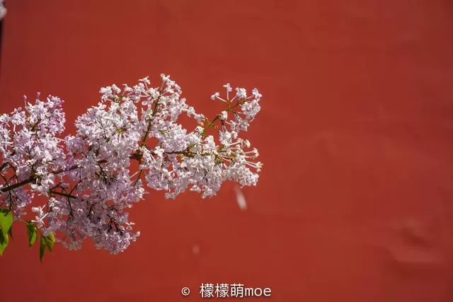 北京打车记：司机家有四套房，讲了一路人生道理，言论犀利