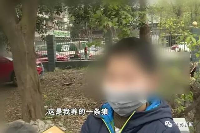 10岁孙子哄奶奶眨眼点头，5万多辛苦钱就没了……家长们要当心！