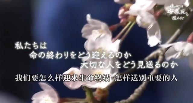 死亡的全过程被录像？选择安乐死的她，看哭无数日本人...