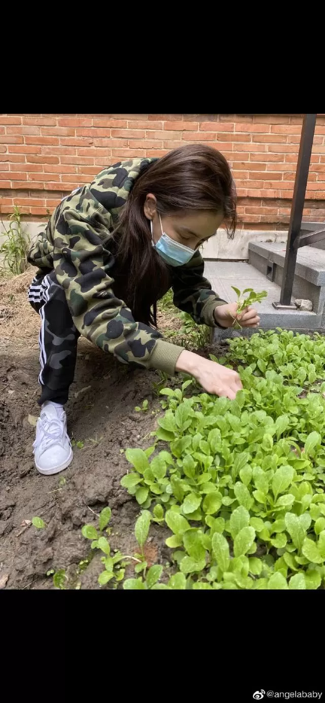 频繁被曝和黄晓明离婚，baby疑回应：从没想过其他人生