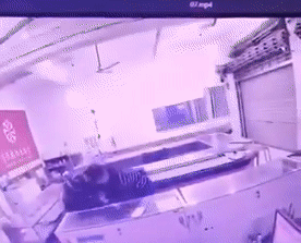 恐怖! 疫情下 3名华人被判死刑 就地枪决! 1分钟捅死戴口罩同胞 视频骇人!