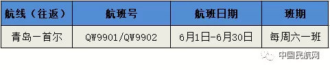 青岛航空。（图片来源：中国民航网公众号）