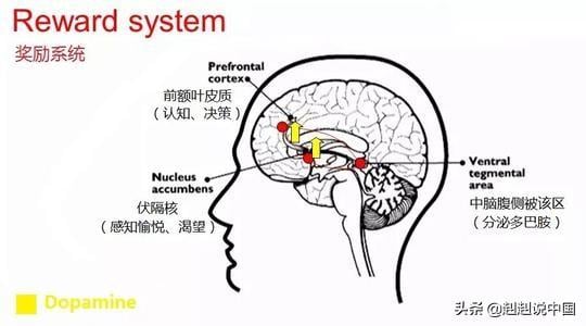 上瘾性行为，正在毁掉你的后半生