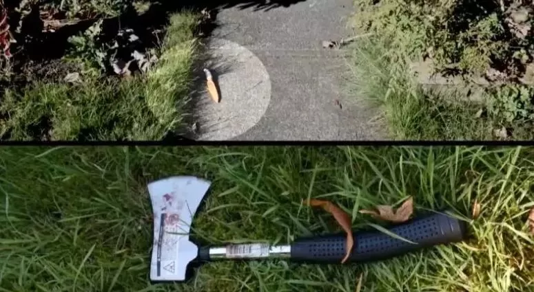 可怕! 温哥华夫妇被捅103刀惨死 华人凶手被判一级谋杀!