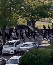 法国也乱了! 大规模骚乱爆发 黑帮持机枪上街扫射 4天4夜大混战!
