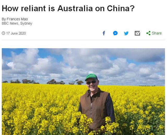 澳大利亚专家回应减少对华经济依赖：和中国合作至关重要