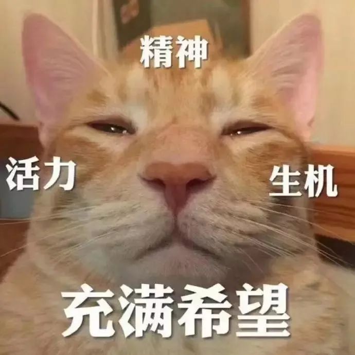 牛!  矿工大叔挖出绝世宝石 秒变亿万富翁 4个老婆30个娃乐疯!