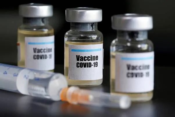喜讯! 加拿大两种新冠疫苗动物实验大获成功 下月进入人体试验!