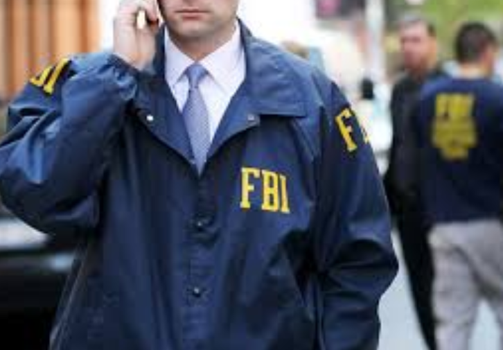震惊! 加拿大37岁华人女子遭FBI抓捕 判刑6年! 精英惨成阶下囚!