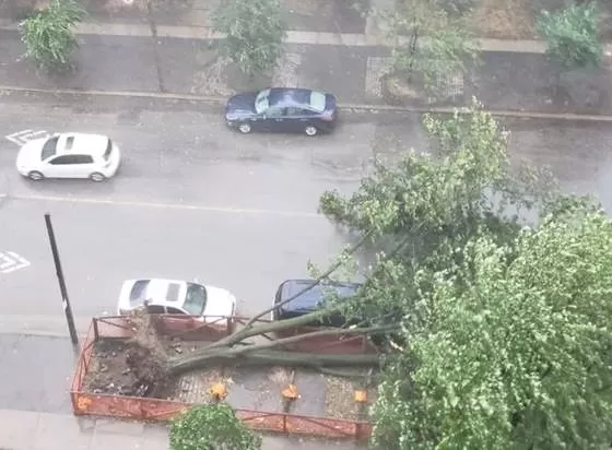 恐怖! 加拿大遭重大洪水袭击 雷暴狂劈…极端灾难攻城 一片哀嚎
