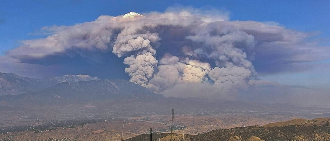 疫情下 美国爆大规模山火! 8000人连夜逃命 烈火吞噬2万亩地 全美疫情最重地区已成炼狱