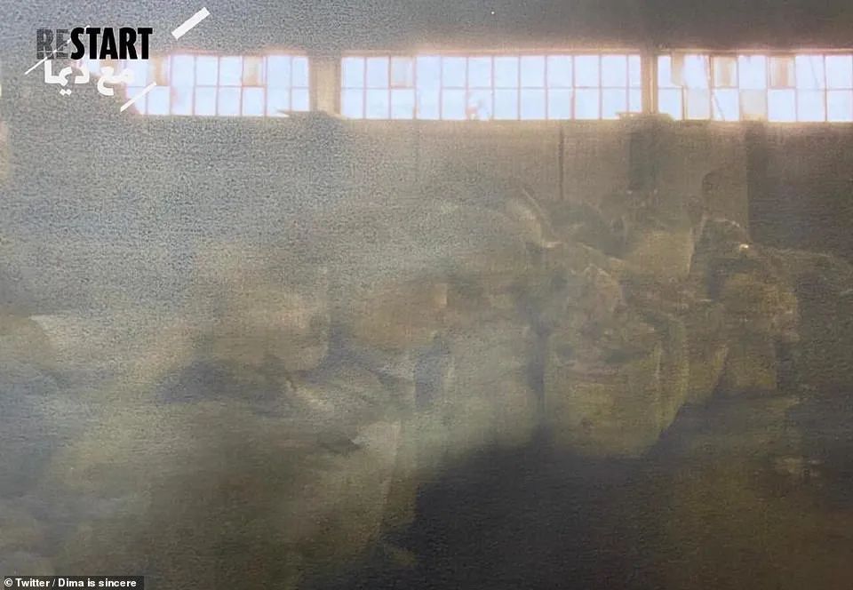 突发! 刚刚 黎巴嫩政府集体下台! 政府外大暴动 多人死伤 废墟之城再变炼狱!