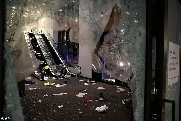 暴乱再起! LV Dior遭洗劫 Nordstrom BestBuy被抢空  2020的疯狂看不到头