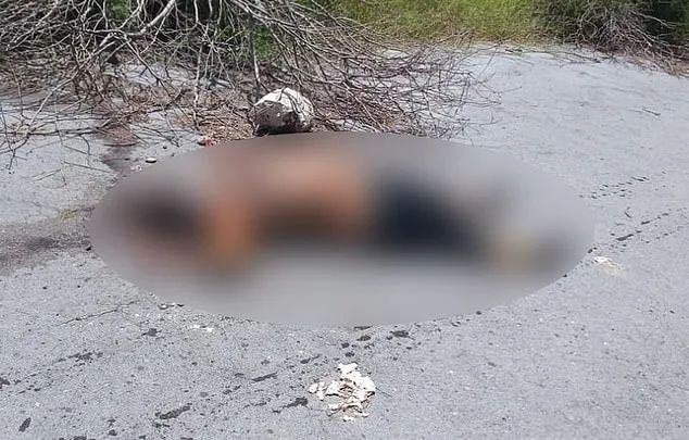 23岁辣妈跨国找男友 却只穿内衣惨死街头 头皮掀开 牙齿都拔光!