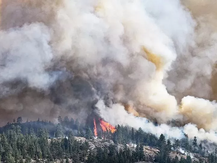 BC爆发大规模山火! 烈火蔓延1000公顷 场面恐怖 3700户居民面临疏散!