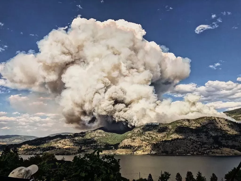 BC爆发大规模山火! 烈火蔓延1000公顷 场面恐怖 3700户居民面临疏散!