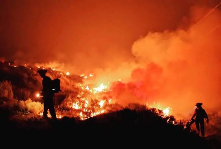 BC爆发大规模山火! 烈火蔓延1000公顷 场面恐怖 3700户居民面临疏散!