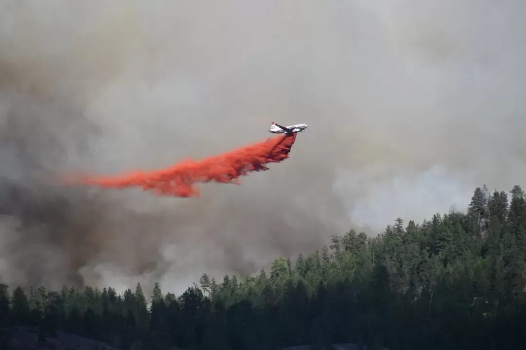 BC爆发大规模山火! 烈火蔓延1000公顷 场面恐怖 3700户居民面临疏散!