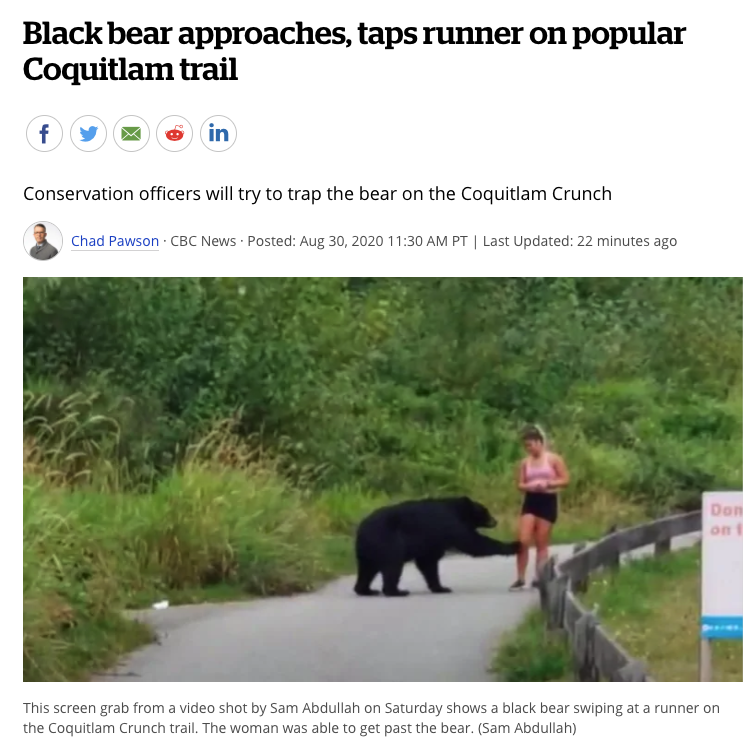 可怕! 大温一名女子跑步时遇黑熊 竟遭熊爪拍腿调戏 接下来一幕吓傻所有人