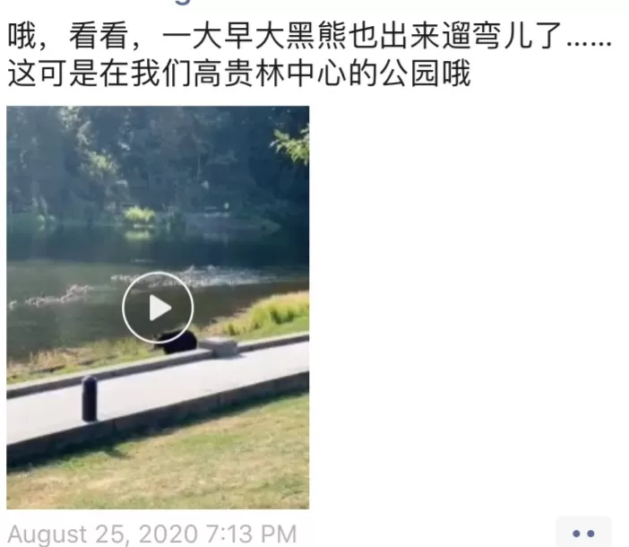 可怕! 大温一名女子跑步时遇黑熊 竟遭熊爪拍腿调戏 接下来一幕吓傻所有人