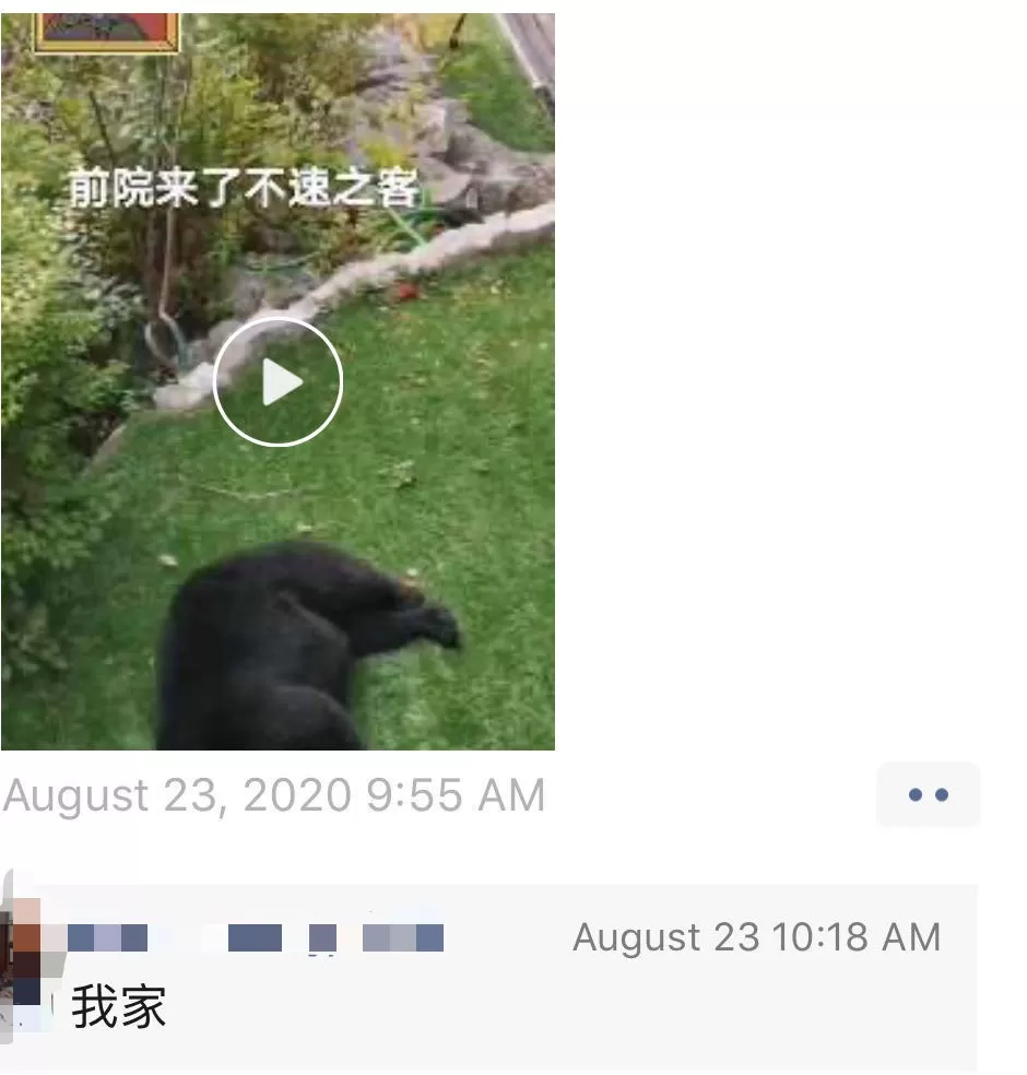 可怕! 大温一名女子跑步时遇黑熊 竟遭熊爪拍腿调戏 接下来一幕吓傻所有人