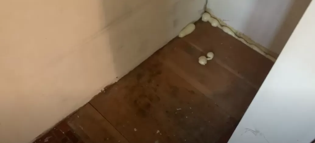 真实恐怖片! BC一家6口度假回家 房子被洗劫一空 歹徒藏在衣柜里...