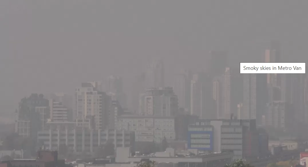 突发! 今天 大温空气质量全世界倒数第一! 警报狂响: 关好门窗别出门!