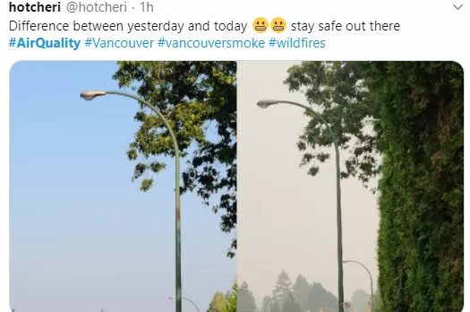 突发! 今天 大温空气质量全世界倒数第一! 警报狂响: 关好门窗别出门!