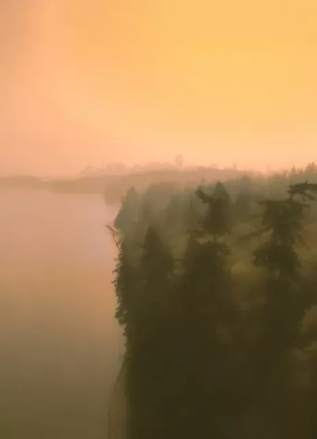 突发! 今天 大温空气质量全世界倒数第一! 警报狂响: 关好门窗别出门!