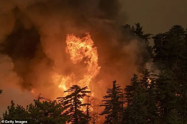 如同世界末日! 美国山火肆虐 13岁男孩为救外婆被活活烧死 怀里还抱着爱犬