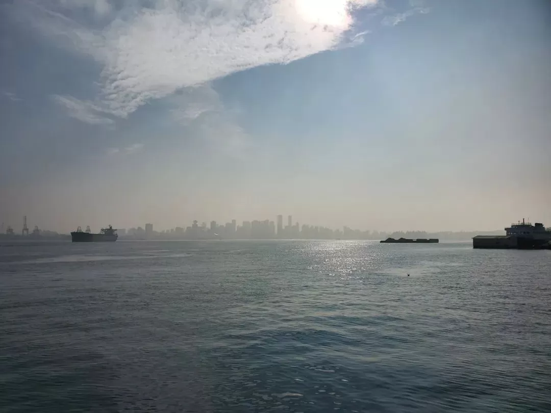 激动! 温哥华久违的蓝天重现 朋友圈沸腾! 好天气要回来了