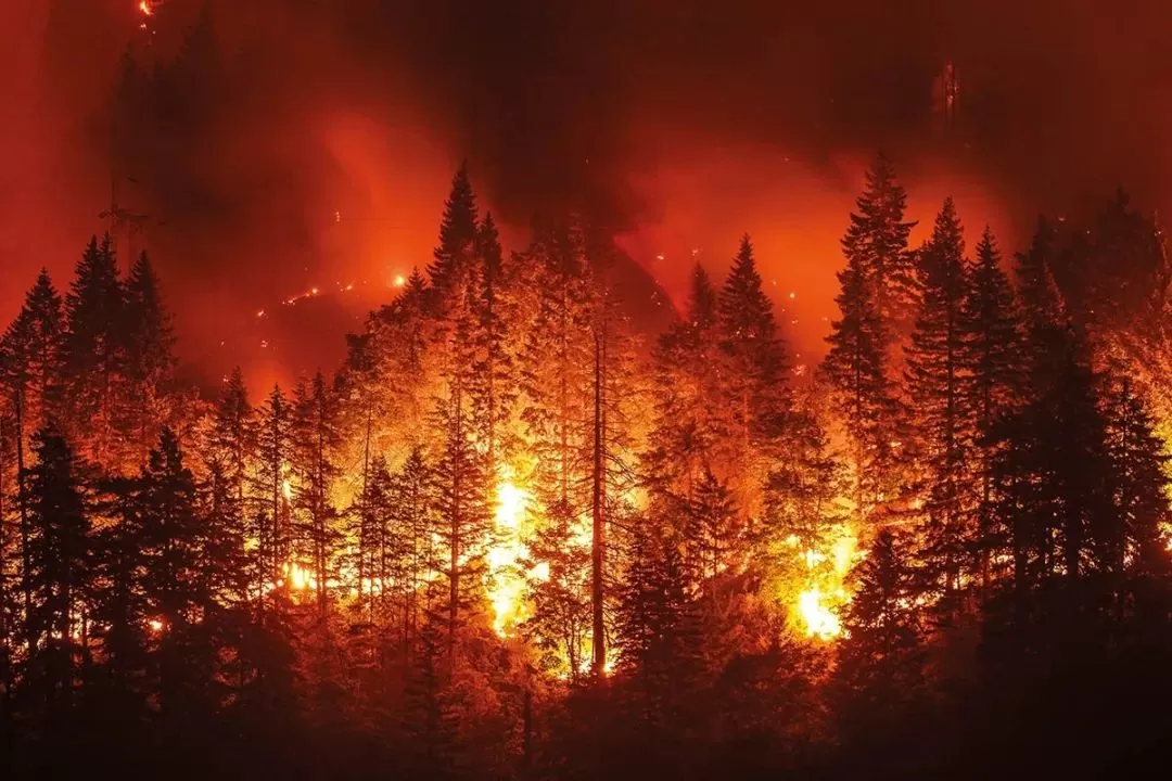 惊恐! 温哥华连发11天空气警报! 哈佛研究称烟霾增加新冠死亡风险!