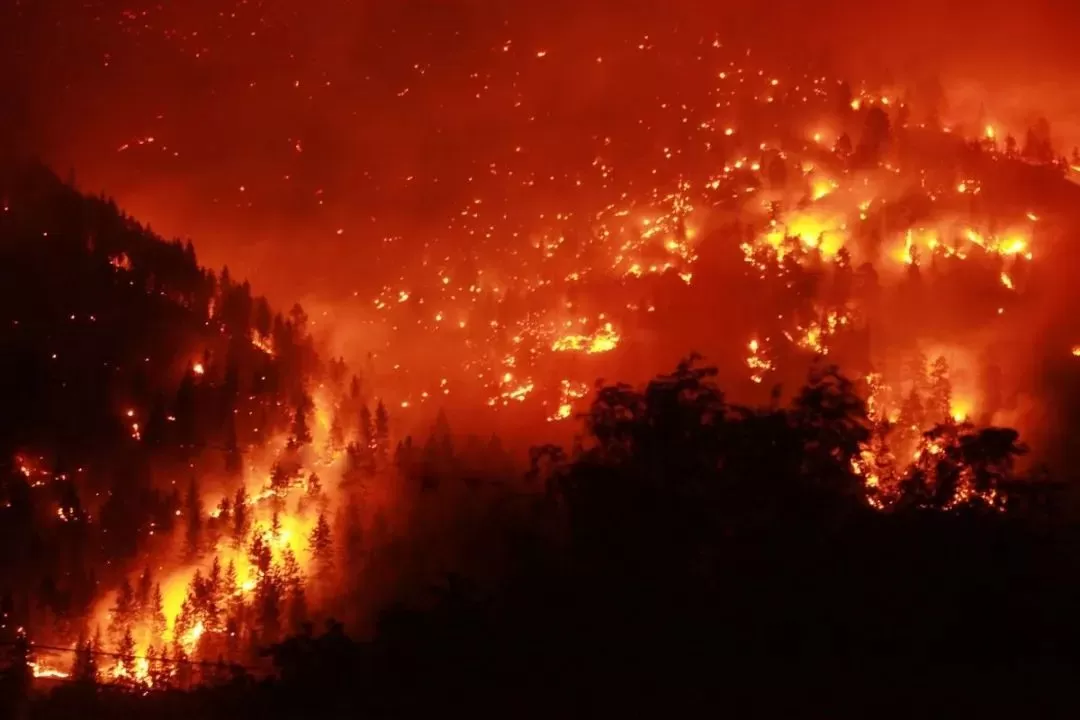 惊恐! 温哥华连发11天空气警报! 哈佛研究称烟霾增加新冠死亡风险!