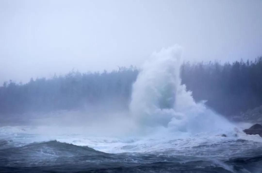 昏天暗地! 大温遭狂风暴雨袭击 多地停电 更猛雷暴洪水在路上 开车小心!