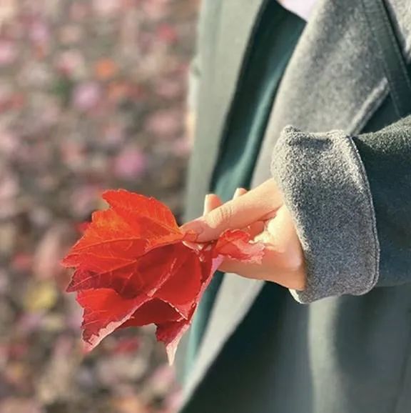 人间仙境! 温哥华的枫叶红了 绝佳赏枫地点大盘点!